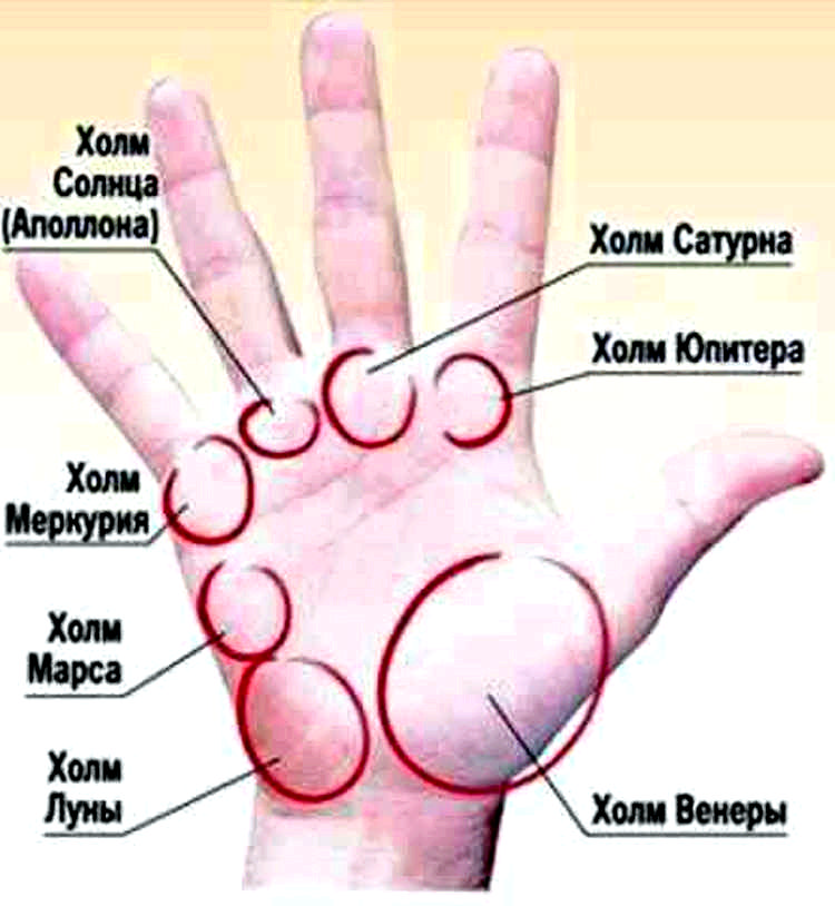 Что означает ладонь руки. Хиромантия бугор Сатурна. Холм Сатурна хиромантия. Холм Сатурна знаки хиромантия. Хиромантия холм Юпитера.