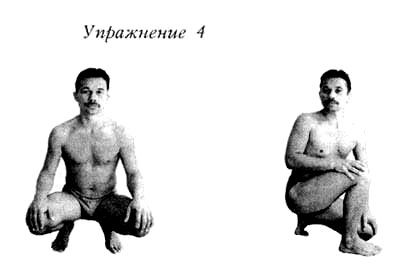 вправи Шанк Пракшалани